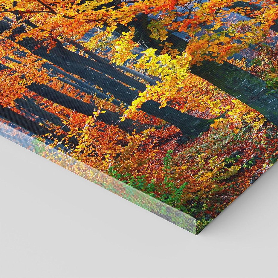 Obraz na płótnie 120x40 - Jesienny taniec lasu - jesień, las