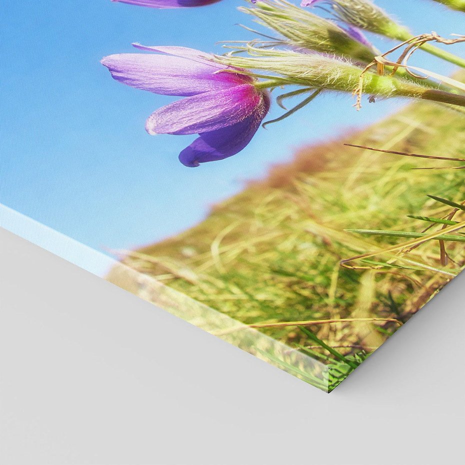 Obraz na płótnie 100x70 - Kwiatowa siła łąki - kwiaty, łąka