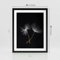 Plakat w ramie 40x50 - Delikatność Wiatru - dmuchawce, makro - rama czarna
