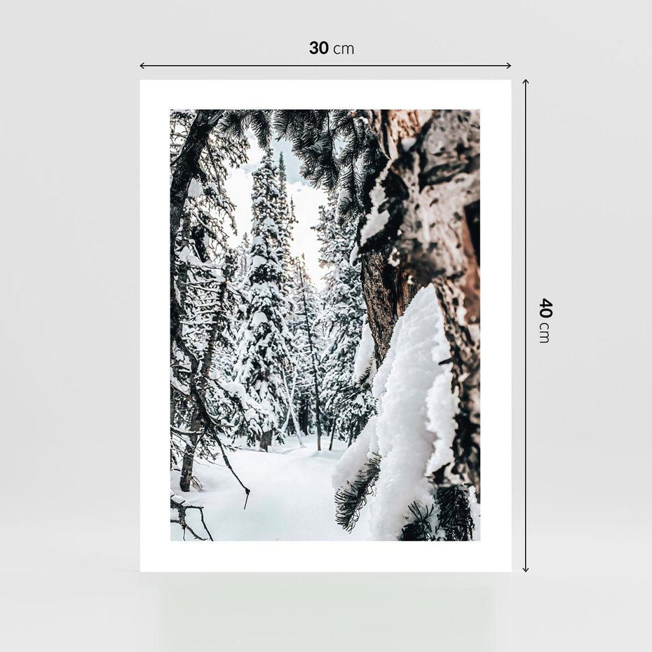 Plakat bez ramy 30x40 - Drzewa pod Śniegiem - zima las, drzewa pod śniegiem