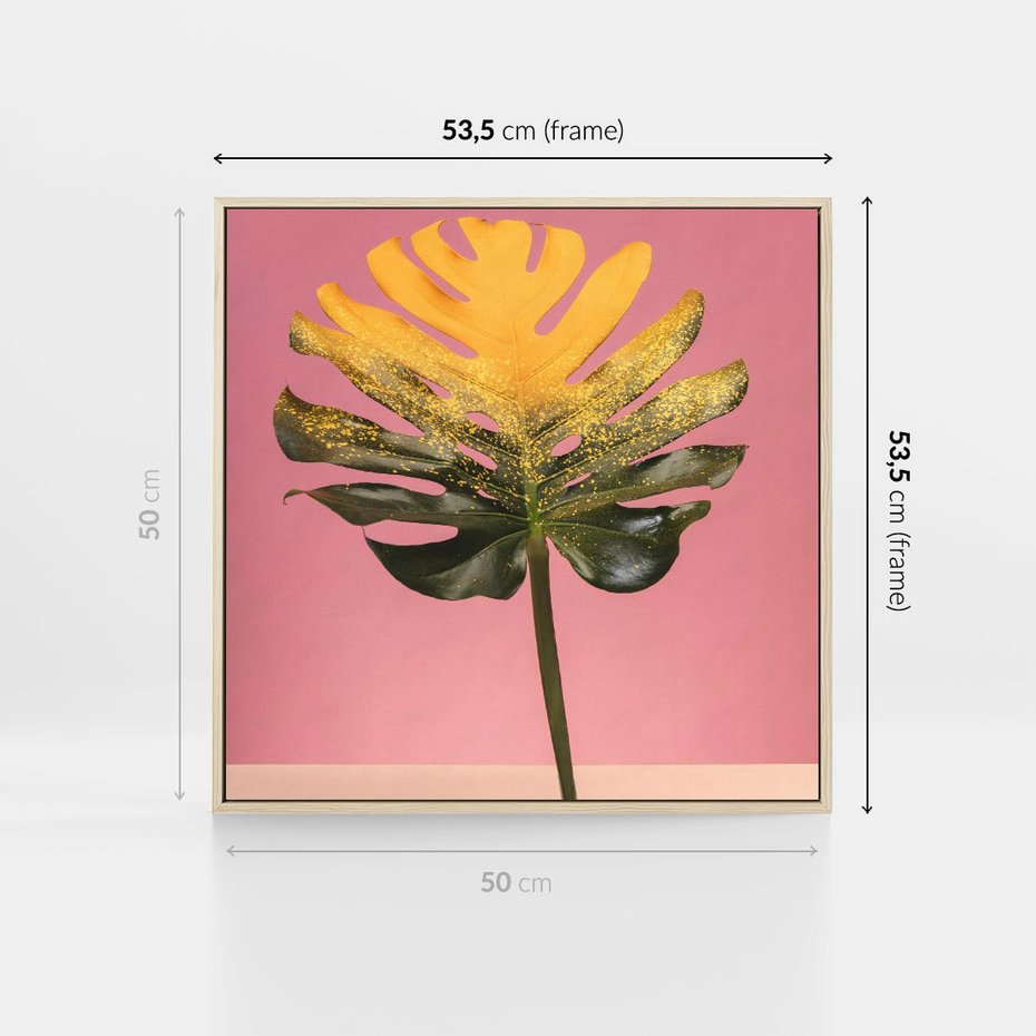 Obraz w ramie 50x50 - Majestatyczna monstera - monstera, liść - rama drewno