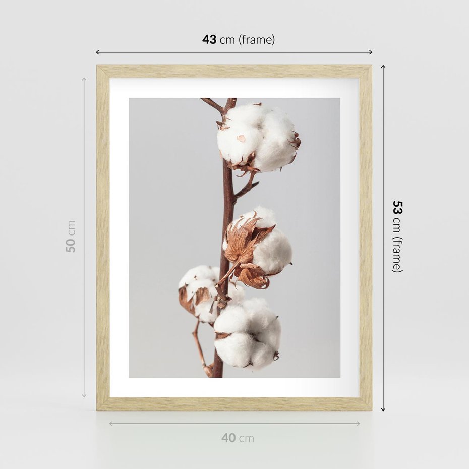 Plakat w ramie 40x50 - Spokojna Gałązka Bawełny - gałązka bawełny, prosta spokojna fotografia - rama drewno