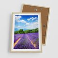 Plakat w ramie 50x70 - Prowansalska Lawenda - lawenda, prowansja - rama drewno
