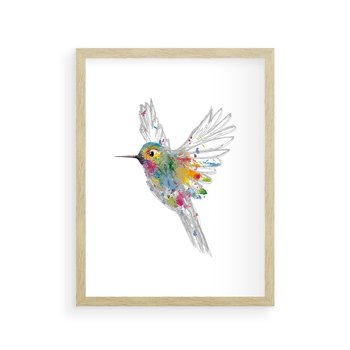 Plakat w ramie 30x40 - Koliber w akwareli - akwarela, koliber - rama drewno