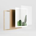 Plakat w ramie 40x50 - Minimalizm Natury - kaktus, zbliżenie - rama drewno