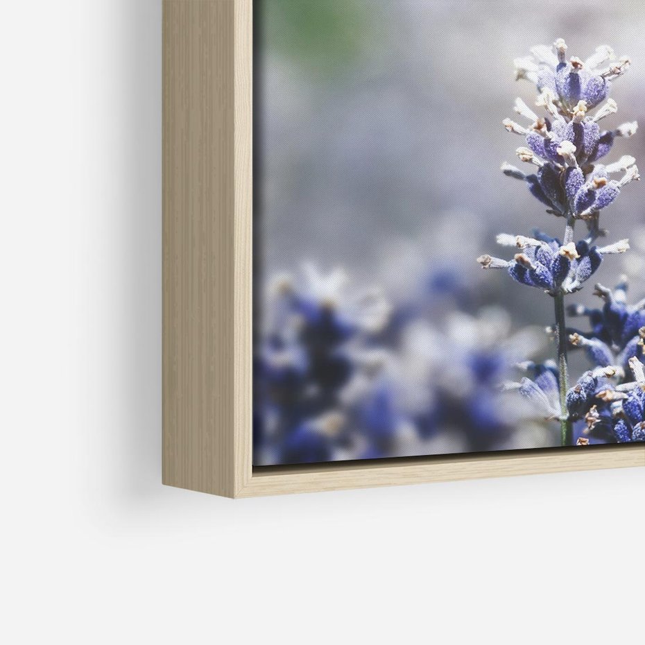 Obraz w ramie 80x80 - Delikatna Uroda Natury - wrzosy, fiolet - rama drewno