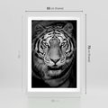 Plakat w ramie 50x70 - Tygrys Czarno-Biały: Siła i Delikatność - tygrys, czarno - rama biała