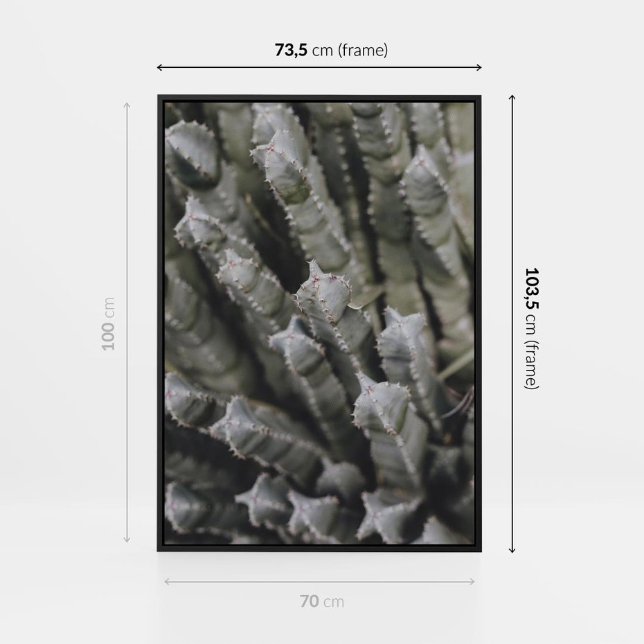 Obraz w ramie 70x100 - Boho kaktusy na pustyni - kaktusy, pustynia - rama czarna