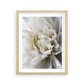 Plakat w ramie 40x50 - Białe Kwiaty Delikatności - białe, kwiaty - rama drewno