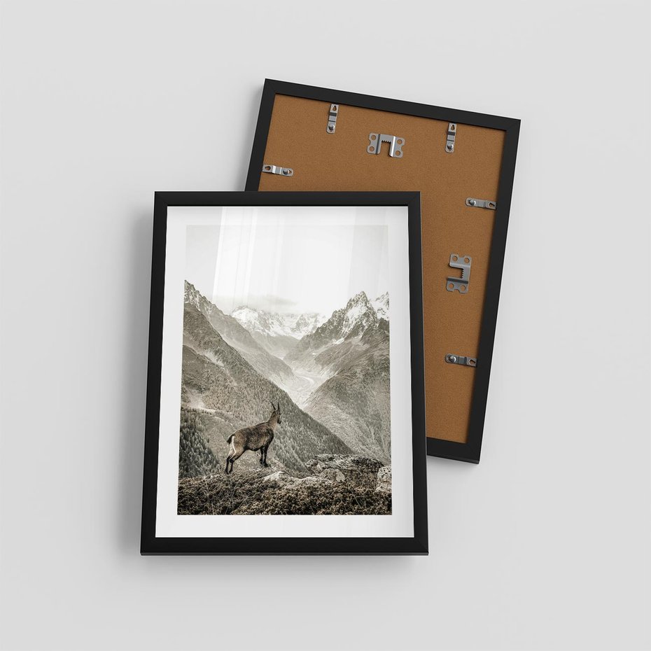 Plakat w ramie 30x40 - Dzikie Piękno: Kozica w Malowniczym Górskim Scenerii - kozica, góry - rama czarna