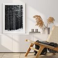 Plakat bez ramy 30x40 - Leśna Cisza: Malowniczy Pejzaż Zimą - las zimą, ośnieżone pnie drzew