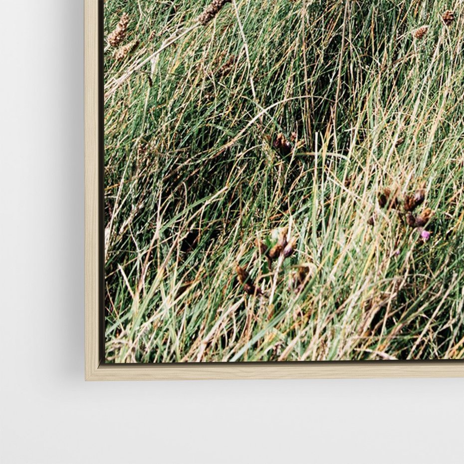 Obraz w ramie 80x120 - Harmonia Natury - widok z wydm, wydmy porośnięte trawami - rama drewno