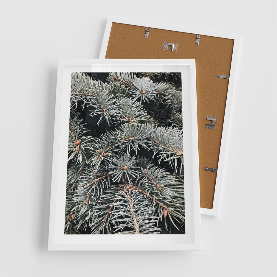 Plakat w ramie 50x70 - Zima na Gałęziach - sosnowe gałęzie, igły - rama biała
