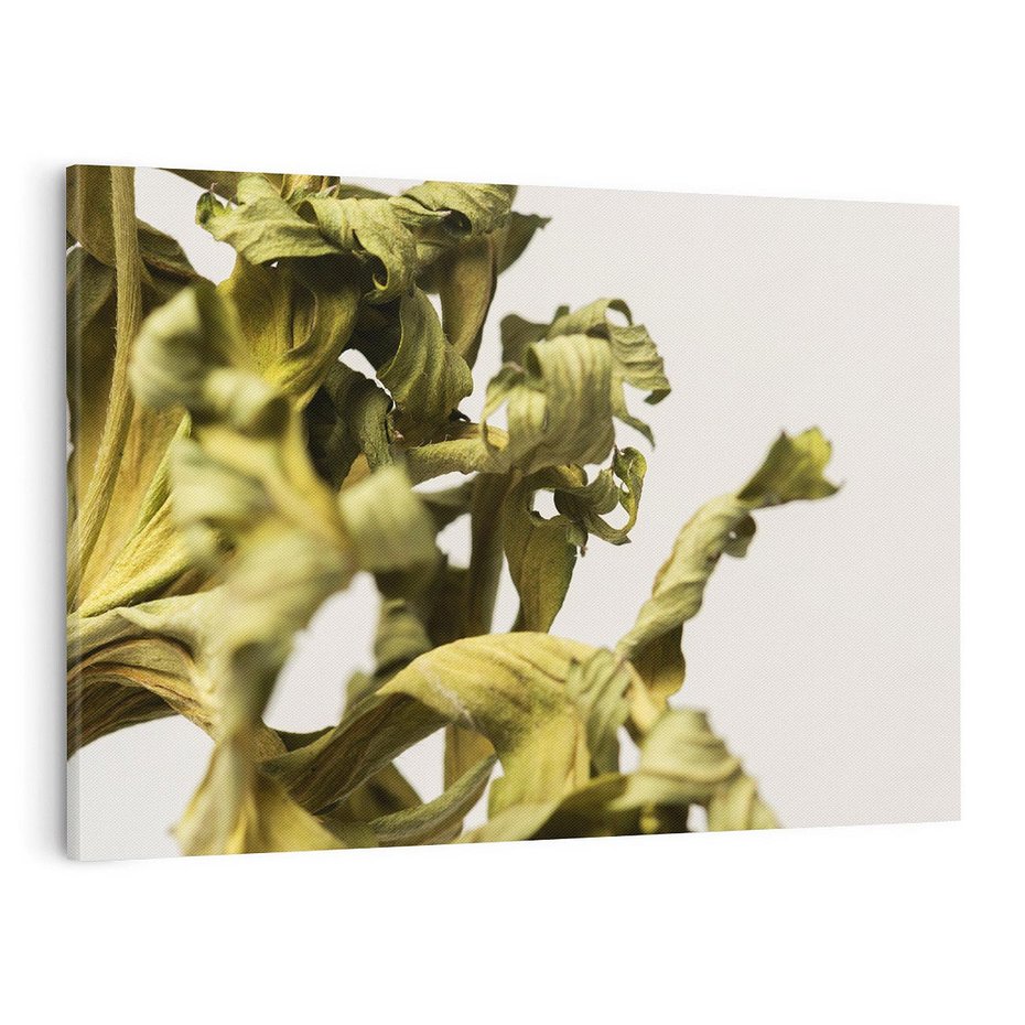 Obraz na płótnie 120x80 - Odejście pory deszczowej - suche, trawy