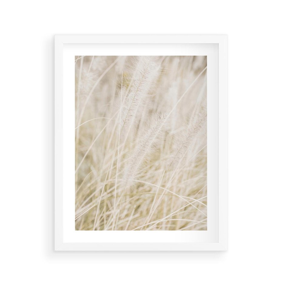Plakat w ramie 40x50 - Białe Trawy Pampas - suche trawy, białe trawy - rama biała