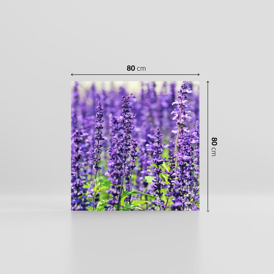 Obraz na płótnie 80x80 - Lawendowa Mgła - lawenda, kwiat