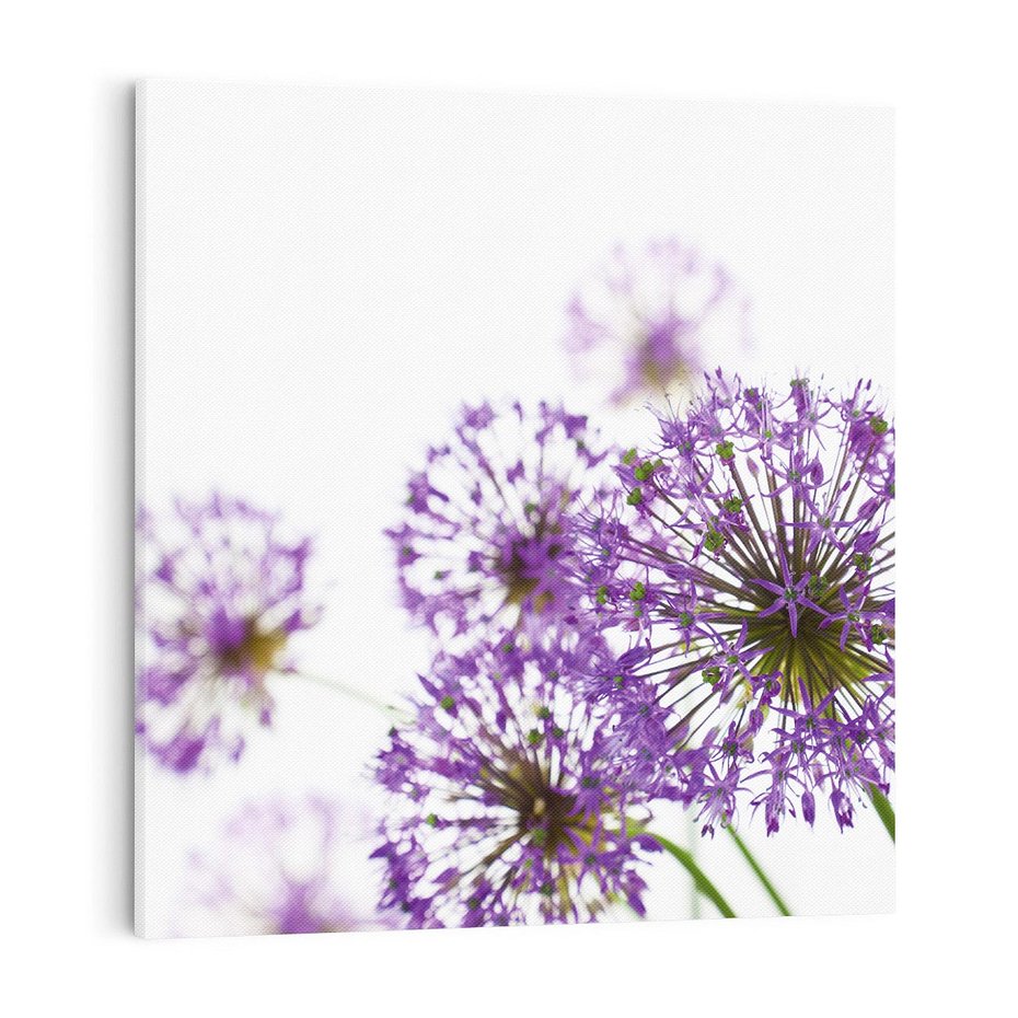 Obraz na płótnie 70x70 - Kwiatowe pejzaże: natura w rozkwicie - kwiaty, natura