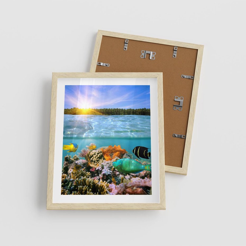 Plakat w ramie 40x50 - Rafa Koralowa - Podwodne Cuda - rafa, koralowa - rama drewno