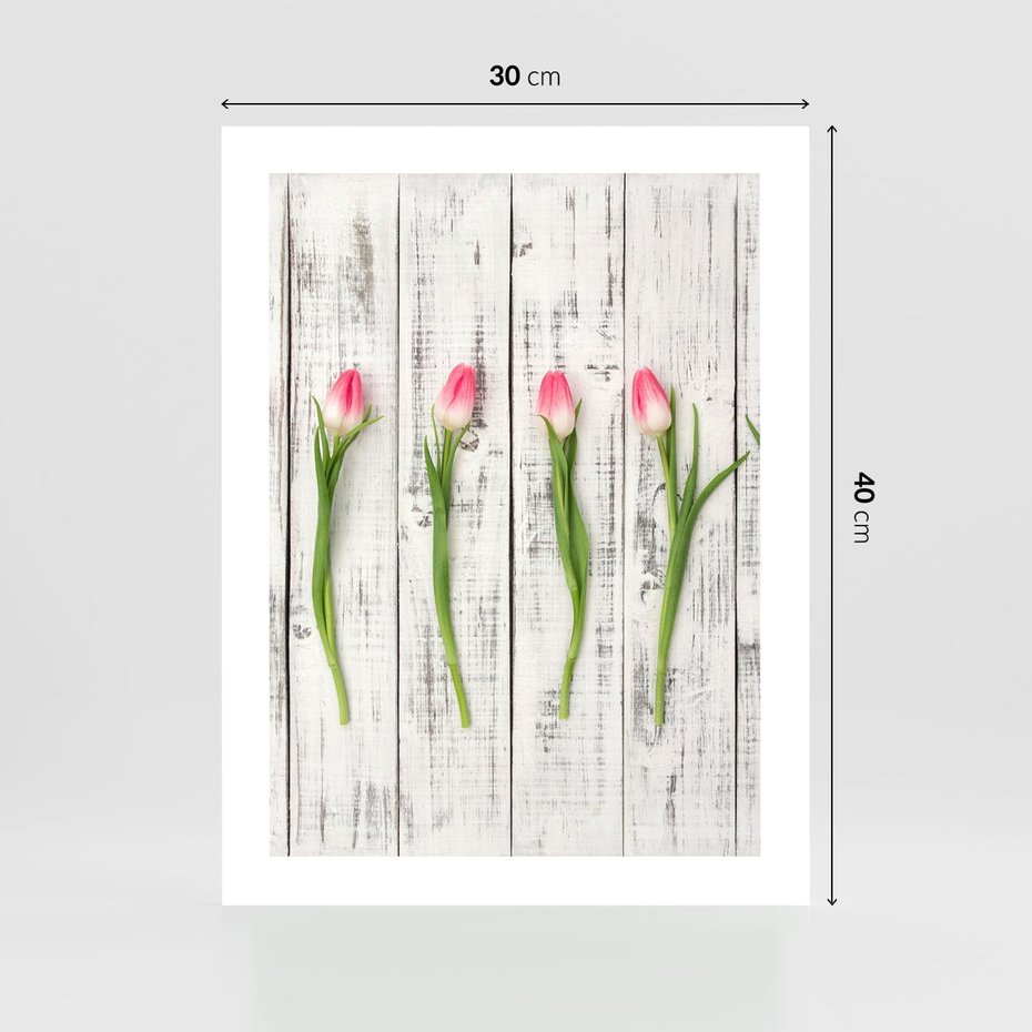 Plakat bez ramy 30x40 - Kwintesencja Piękna - kwiaty, tulipany