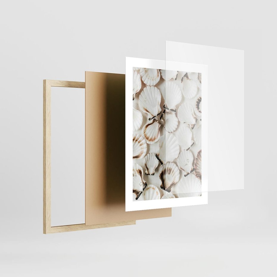 Plakat w ramie 30x40 - Białe Muszle - białe muszle, ujęcie z góry - rama drewno