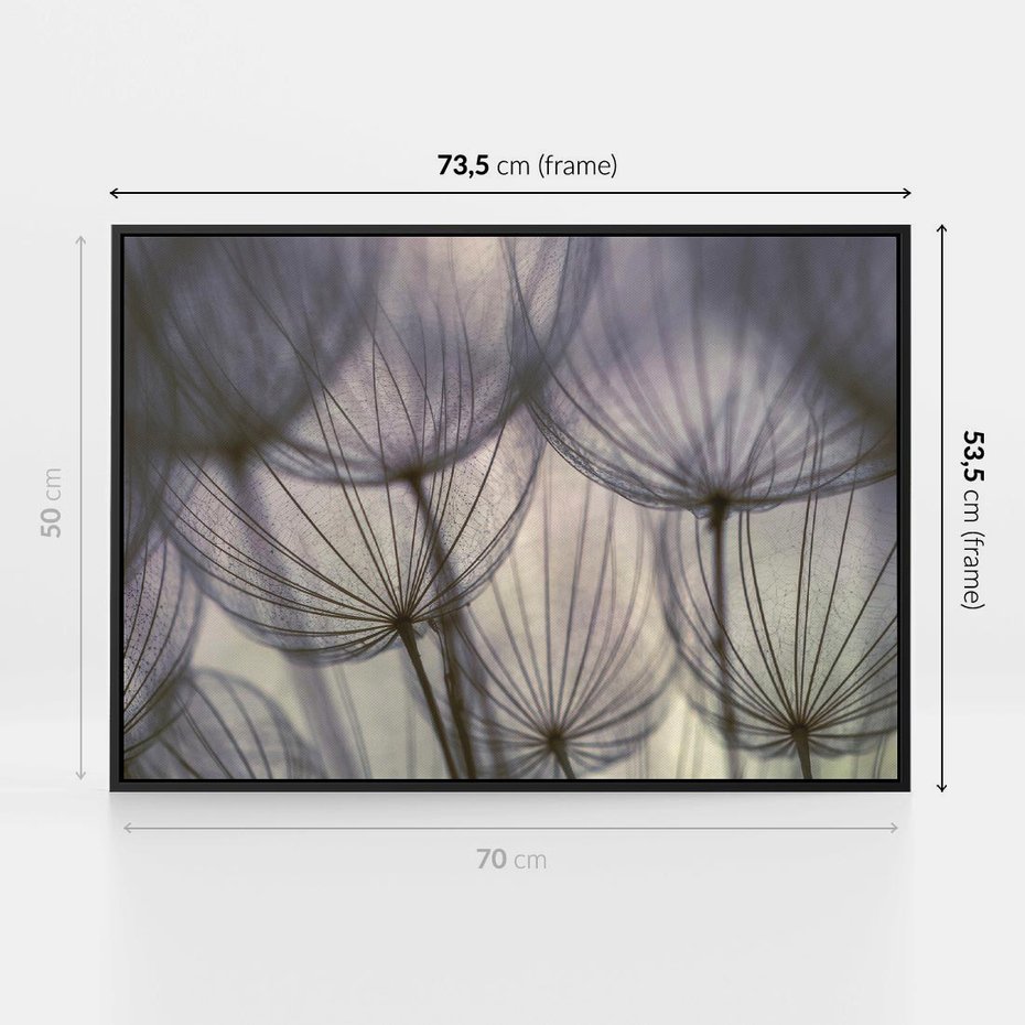 Obraz w ramie 70x50 - Makro dmuchawiec - piękno drobnych detali - dmuchawce, makro - rama czarna