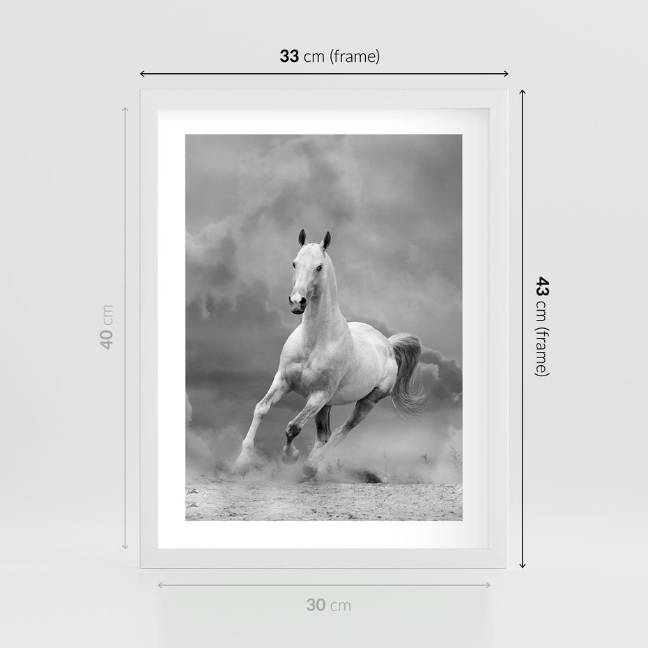 Plakat w ramie 30x40 - Elegancja w Czarno-Białym - koń, biało - rama biała
