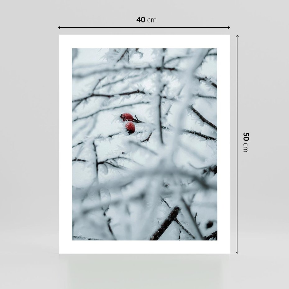 Plakat bez ramy 40x50 - Zima w Detalu: Gałęzie ze Szronem i Śniegiem - śnieg, zima