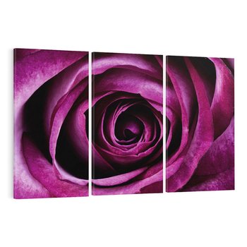 Obraz na płótnie 120x80 - piękno w delikatności - róża, kwiat