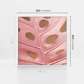 Obraz w ramie 50x50 - Różowa monstera w pełnym rozkwicie - różowa, monstera - rama biała
