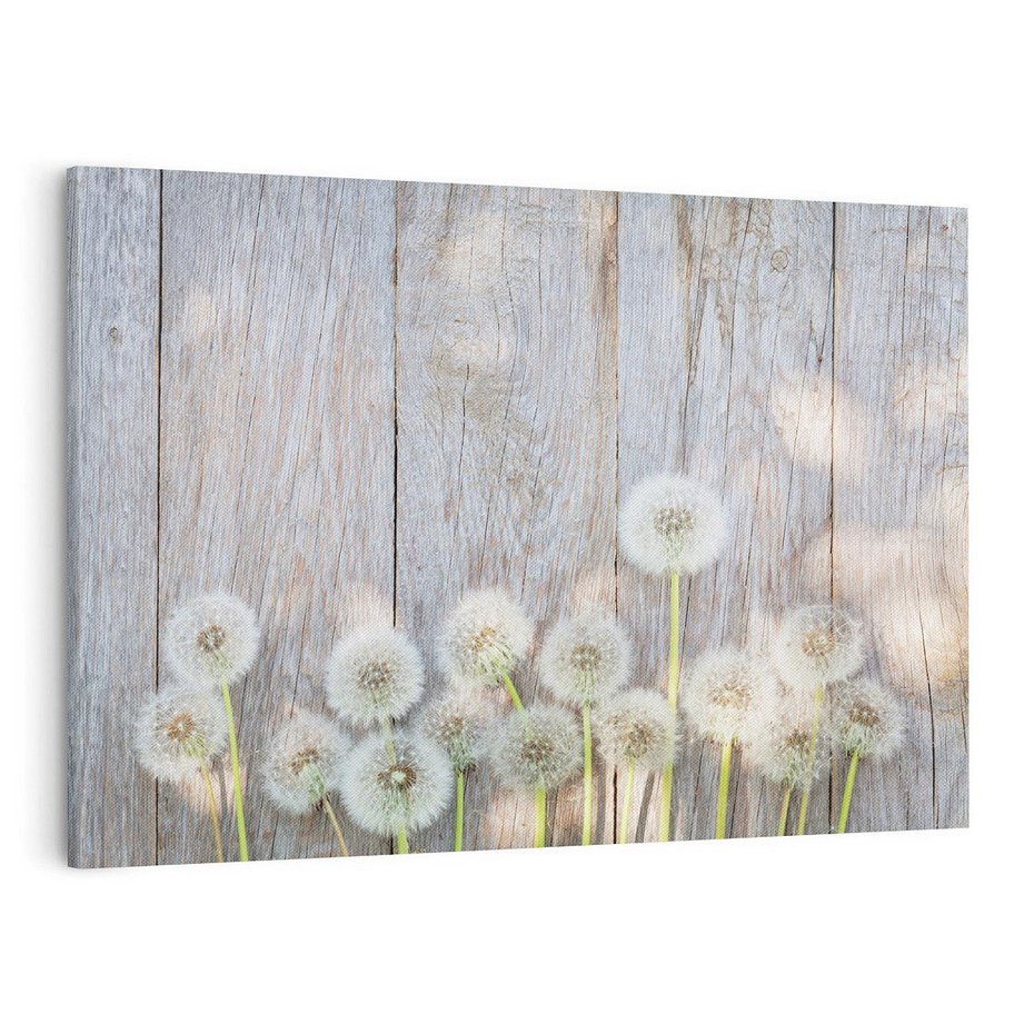 Obraz na płótnie 120x80 - Symbol swobody - dmuchawce