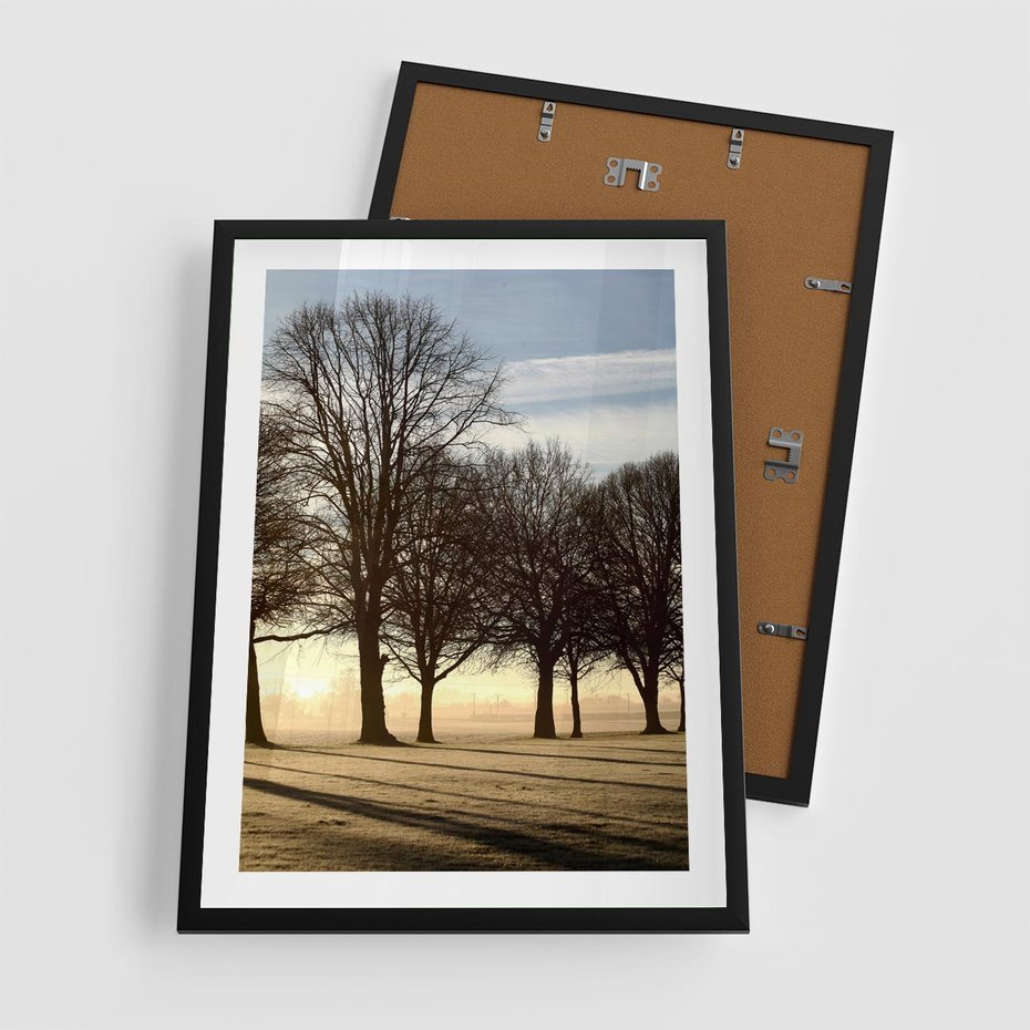 Plakat w ramie 50x70 - Siła natury - drzewa, pole - rama czarna