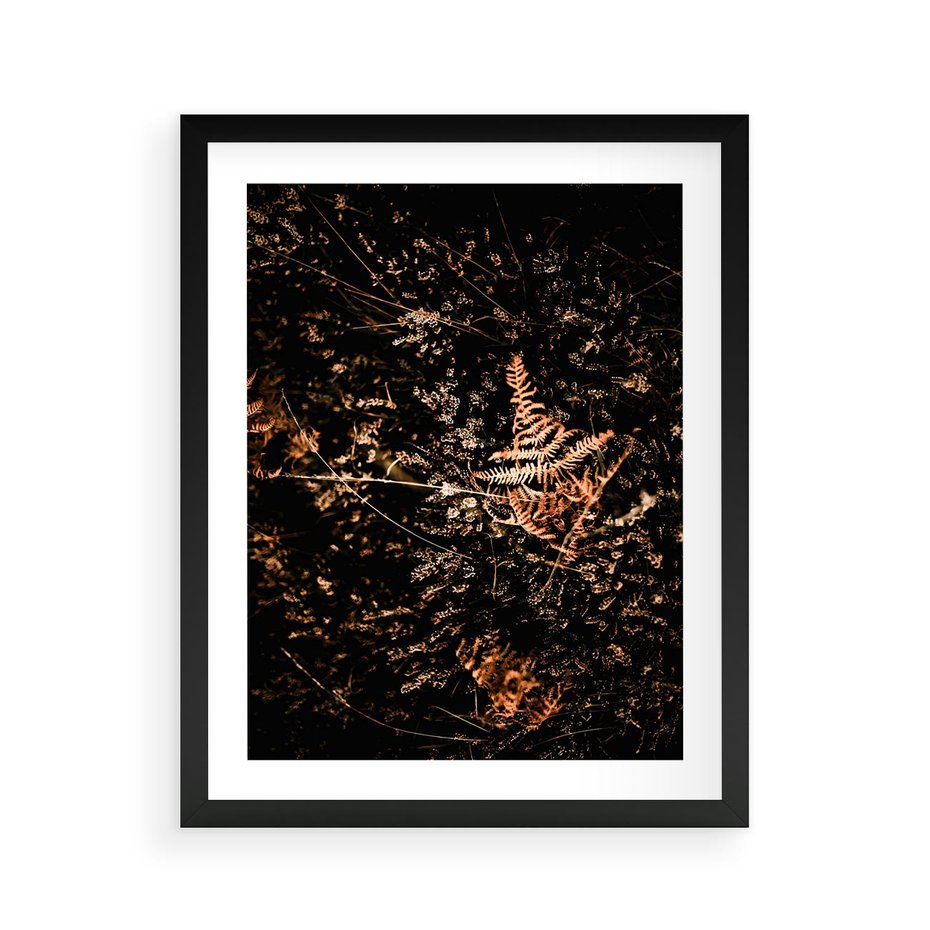 Plakat w ramie 40x50 - Jesienna Melodia - suche trawy, paprocie - rama czarna