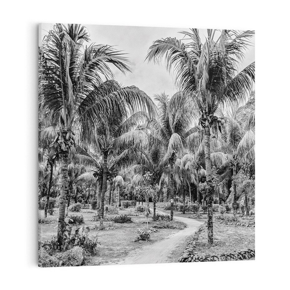 Obraz na płótnie 40x40 - Mroczna Ścieżka Tropików - czarno biała fotografia, ścieżka pośród palm