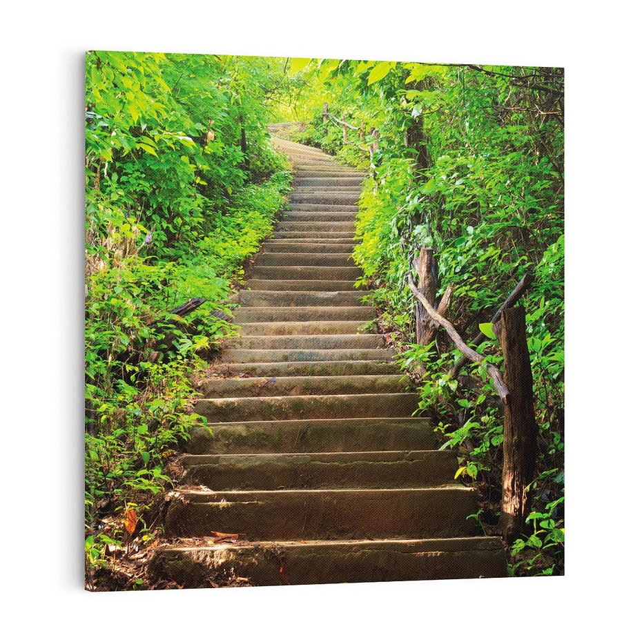 Obraz na płótnie 70x70 - Lasowa ścieżka pełna tajemnic - ścieżka, schody