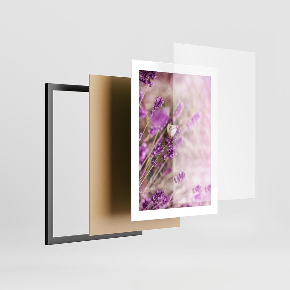 Plakat w ramie 30x40 - Majestat lawendy: fioletowe pola - lawenda, fiolet - rama czarna