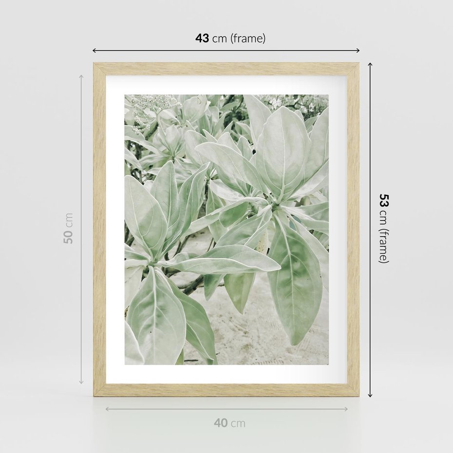 Plakat w ramie 40x50 - Jasnozielone Liście w Kompozycji - liście, jasna zieleń - rama drewno