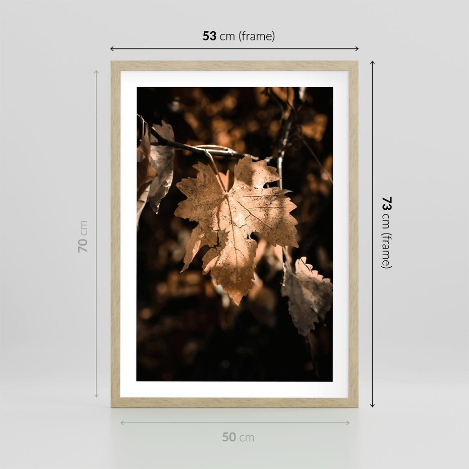 Plakat w ramie 50x70 - Uroczy Liść na Drzewie - jesienny liść, żółty liść na drzewie - rama drewno