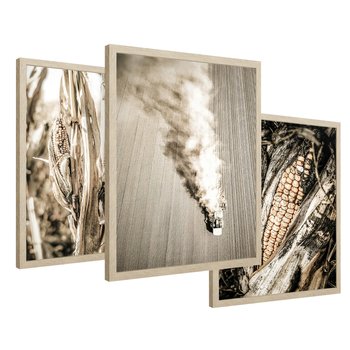 Zestaw obrazy w ramie 30x40 galeria - Sepia, kukurydza, pole - rama drewno