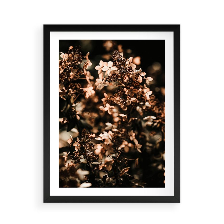 Plakat w ramie 50x70 - Sucha Kompozycja Kwiatów - suche kwiaty hortensji - rama czarna
