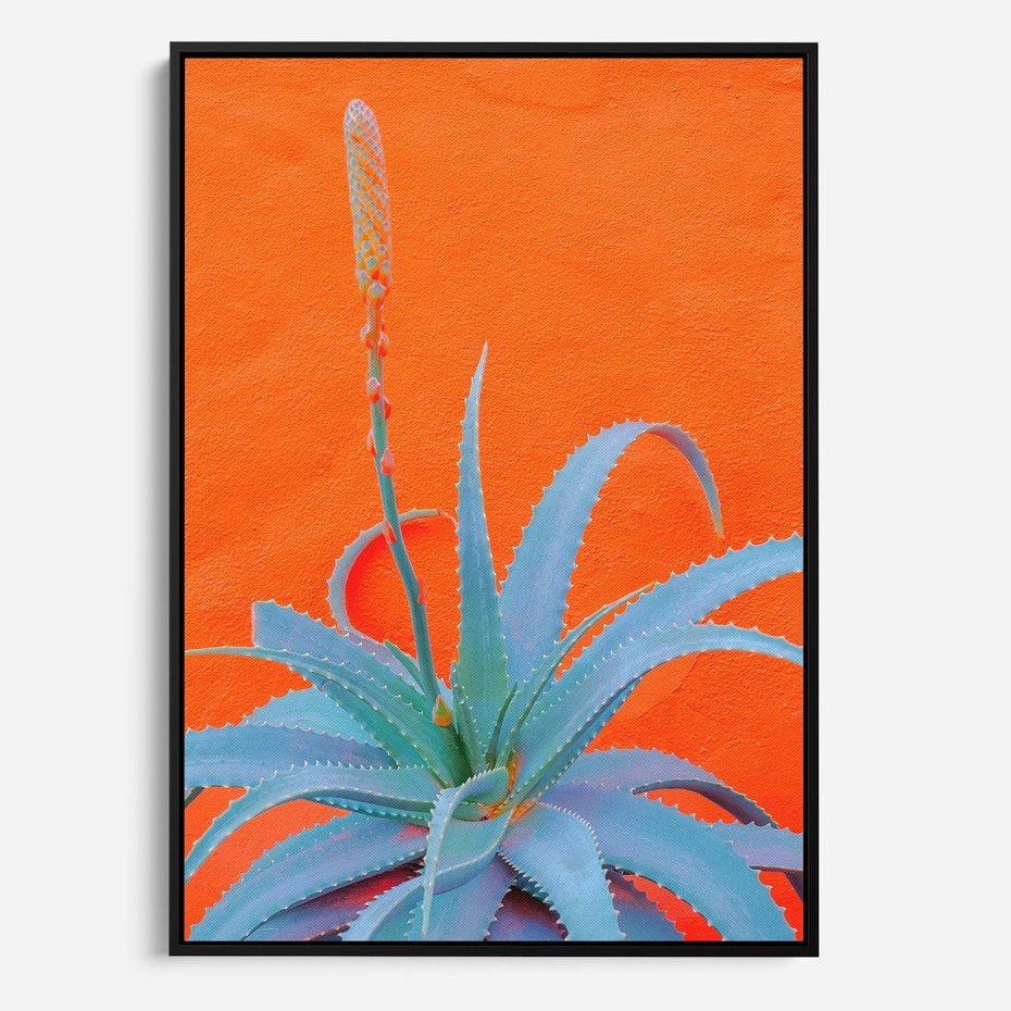 Obraz w ramie 70x100 - Naturalna Harmonia - kaktusy, liście - rama czarna