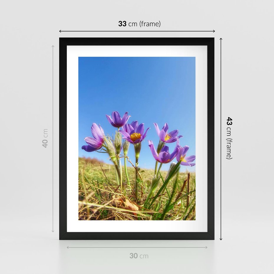 Plakat w ramie 30x40 - Kwiatowa siła łąki - kwiaty, łąka - rama czarna