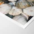 Plakat bez ramy 50x70 - Minimalizm Jesieni - dynie, białe