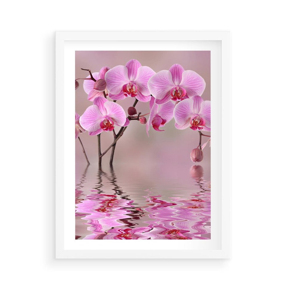 Plakat w ramie 50x70 - Relaksacyjne spa w otoczeniu storczyka - spa, storczyk - rama biała