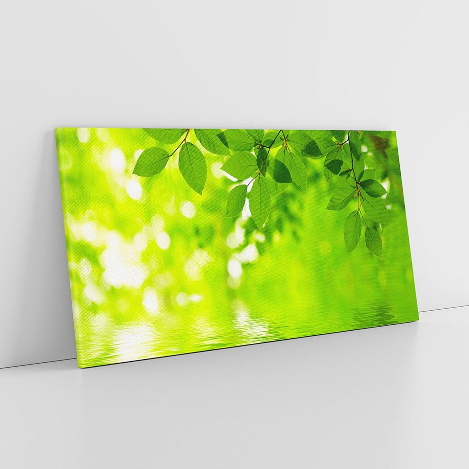 Obraz na płótnie 120x60 - Liście w Wodzie - liście, woda