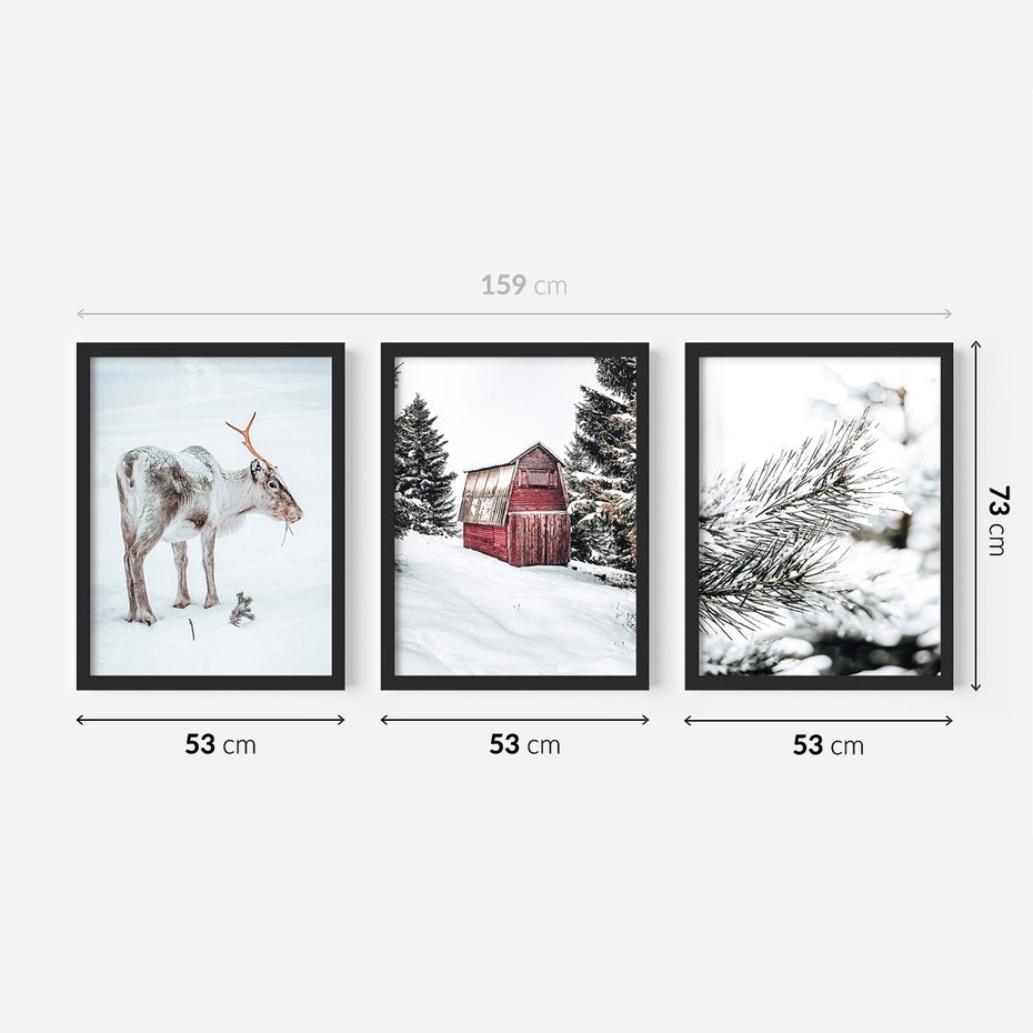 Zestaw obrazy w ramie 50x70 galeria - Zimowy, widok, renifer - rama czarna