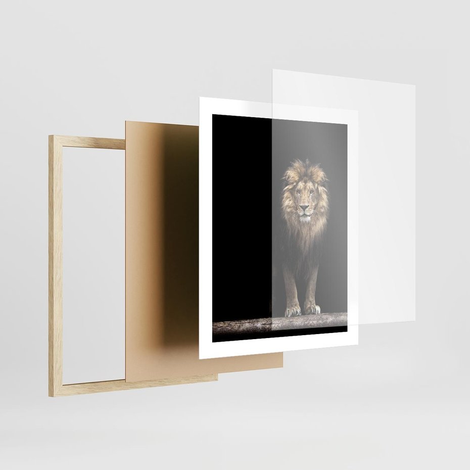 Plakat w ramie 40x50 - Lew: dzikie piękno natury - lew, dzikie - rama drewno