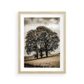 Plakat w ramie 30x40 - Spokojna Osamotniona Chwila - beżowe kolory, samotne drzewo na polu - rama drewno