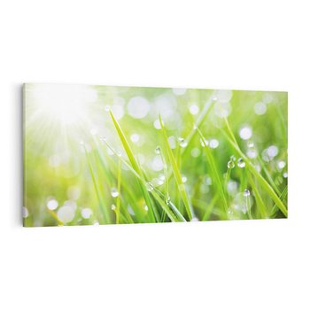 Obraz na płótnie 120x60 - Delikatna trawa pokryta rosą - trawa, rosa