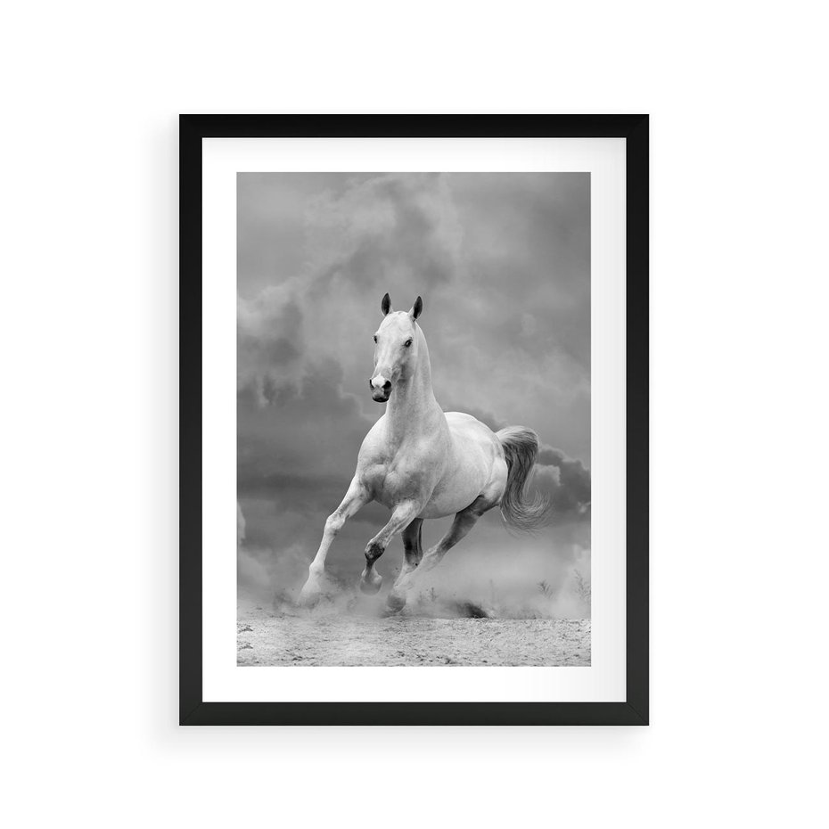 Plakat w ramie 30x40 - Elegancja w Czarno-Białym - koń, biało - rama czarna