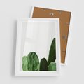 Plakat w ramie 50x70 - Minimalizm Natury - kaktus, zbliżenie - rama biała